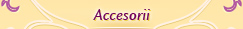 accesorii accesorii